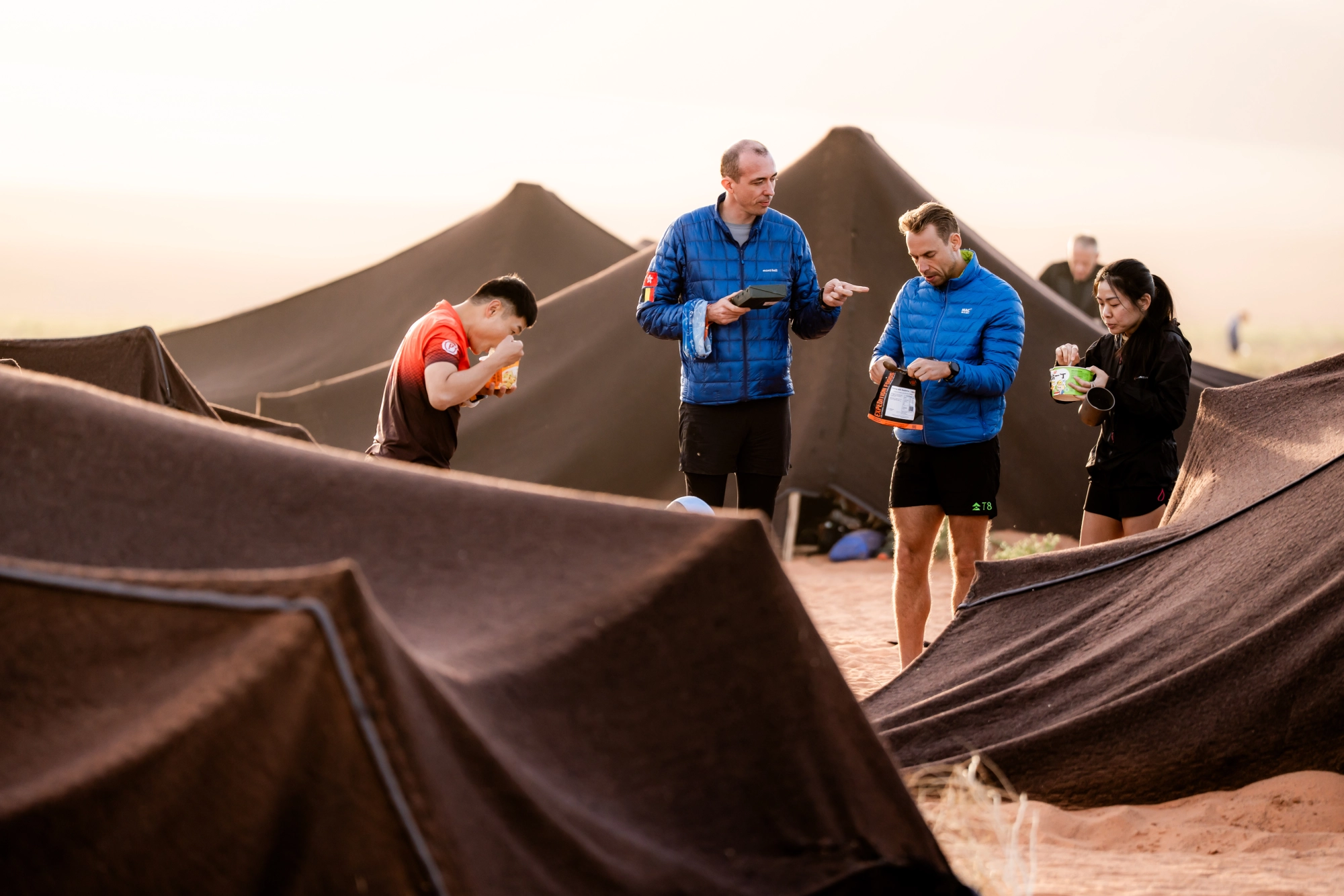 Image d'illustration mosaïque intégrée