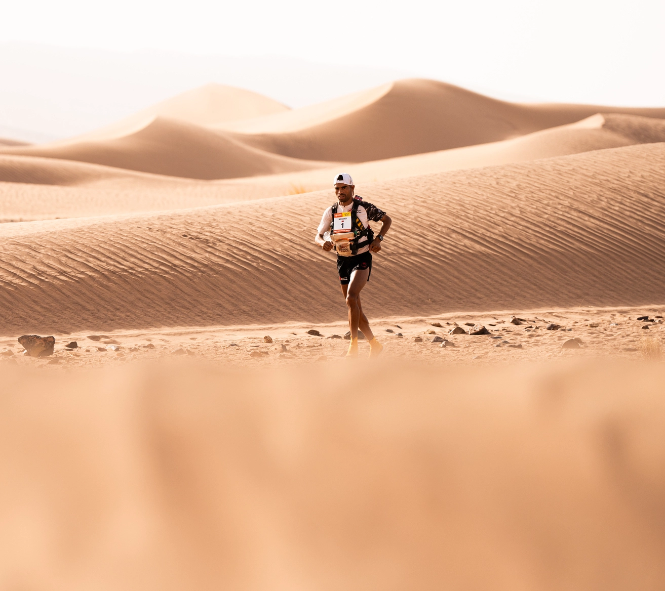 Image d'illustration mosaïque