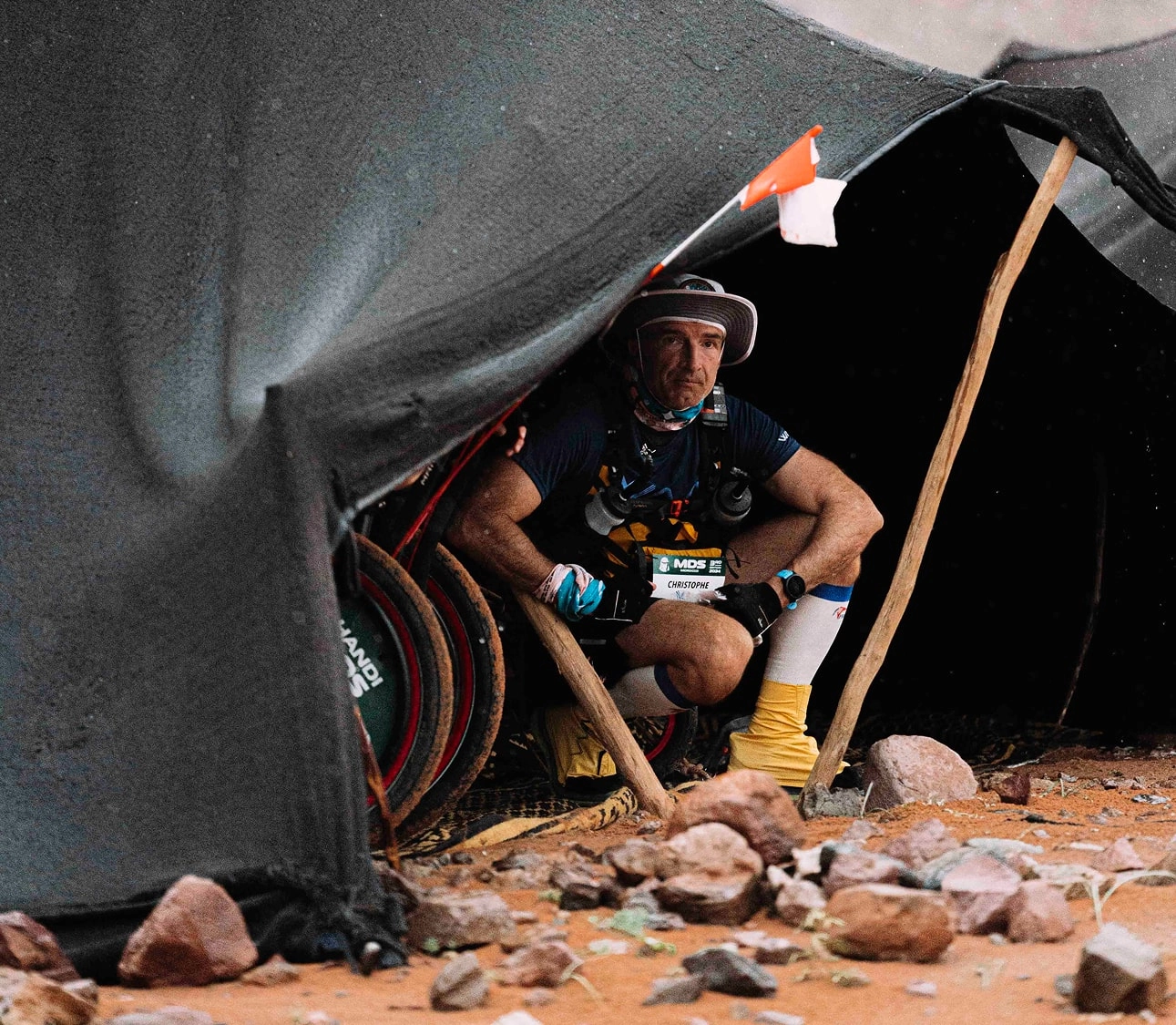 Image d'illustration mosaïque